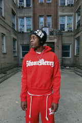 Stoneberry Beanie